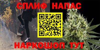 СК Тверь